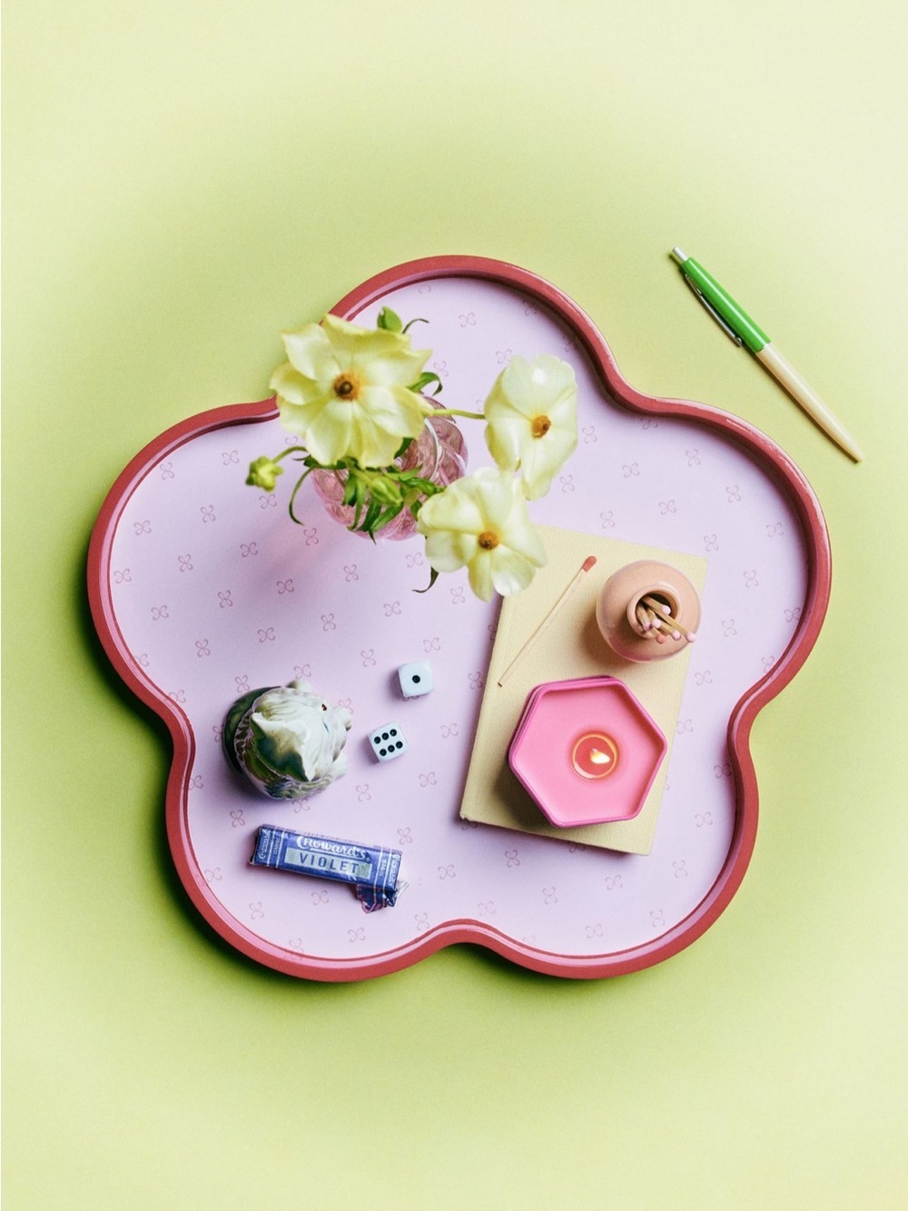NWT Anthropologie Maeve Lacquer Tray in Pink